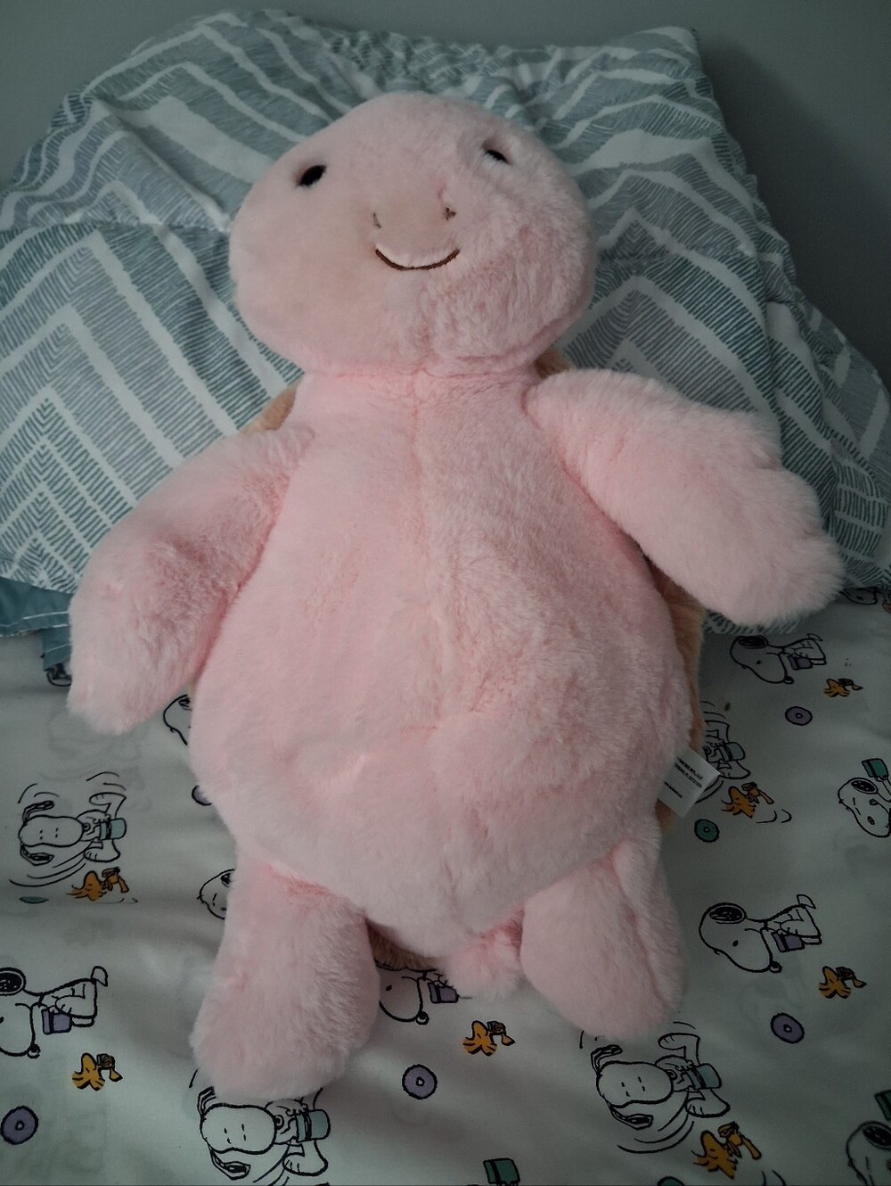 Shoppers Drug Mart Spring Pink Turtle Plush Stuffed Animal